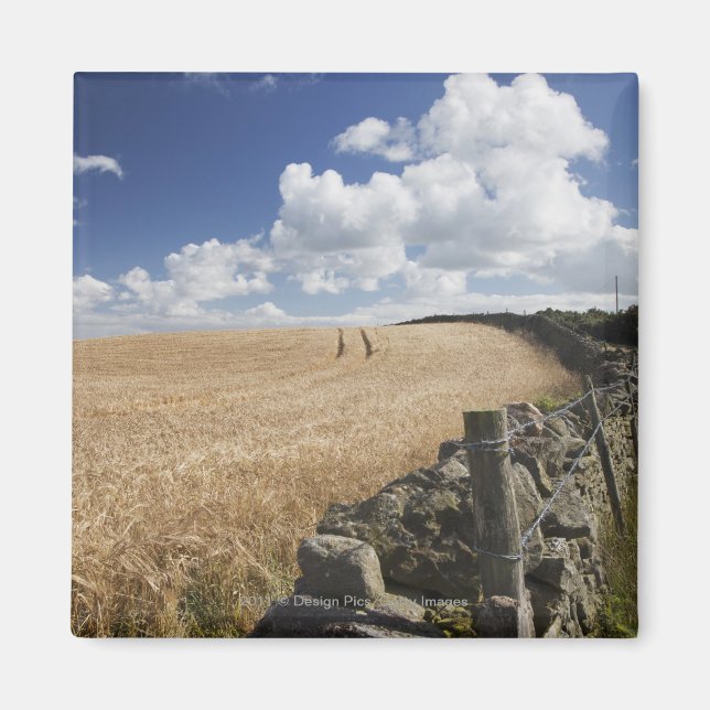 Imã Uma Cerca De Fio De Barbed Construída Ao Longo De  (Frente)