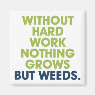 Imã Uma Cotação sobre o Magnet