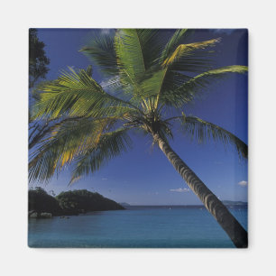 Imã Uma das melhores praias do mundo; Trunk Bay em