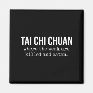 Imã Uma Dessas Pessoas de Tai Chi Chuan Lutando Chinês