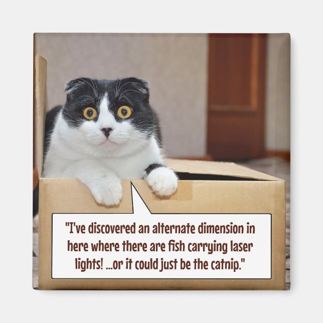 Imã Uma dimensão alternativa (Frente)