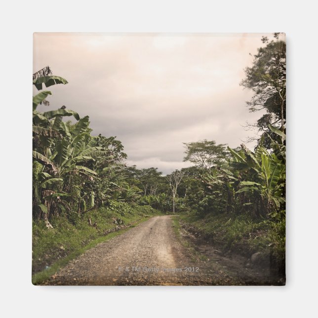 Imã Uma estrada remota da selva (Frente)