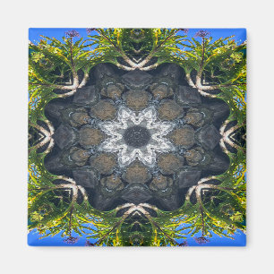 Imã Uma estrela no lago......