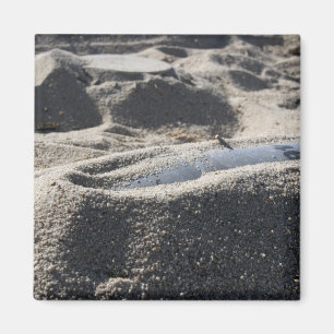 Imã Uma exposição estática de um escudo da ordenan