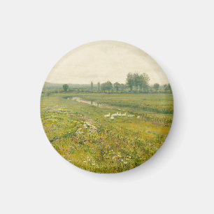 Imã Uma extensa paisagem de prado com gansos