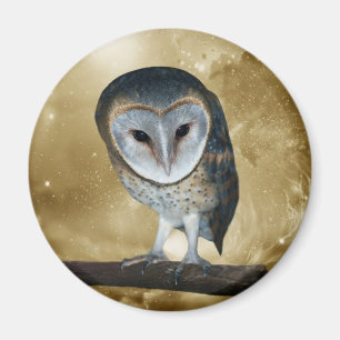 Imã Uma fantasia pequena bonito da coruja de celeiro