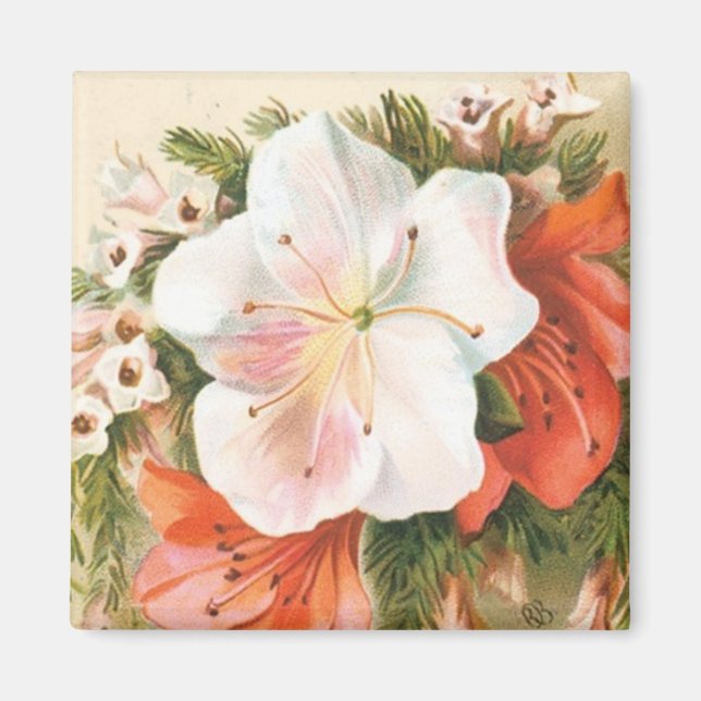 Imã Uma Feliz Flor de Natal (Frente)