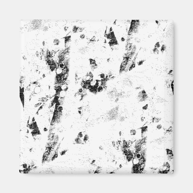 Imã uma foto em preto e branco de uma foto em preto e  (Frente)