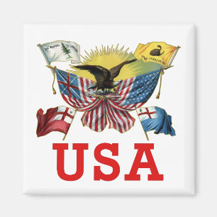 Imã Uma história de bandeiras americanas em um Tshirt