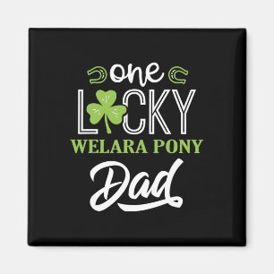 Imã Uma Lucky Welara Pony Horse Pai Irlandês Horseback