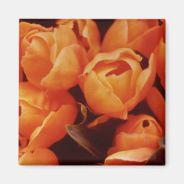 Imã Uma Matriz de Tulips Laranja, mercado de Amsterdã