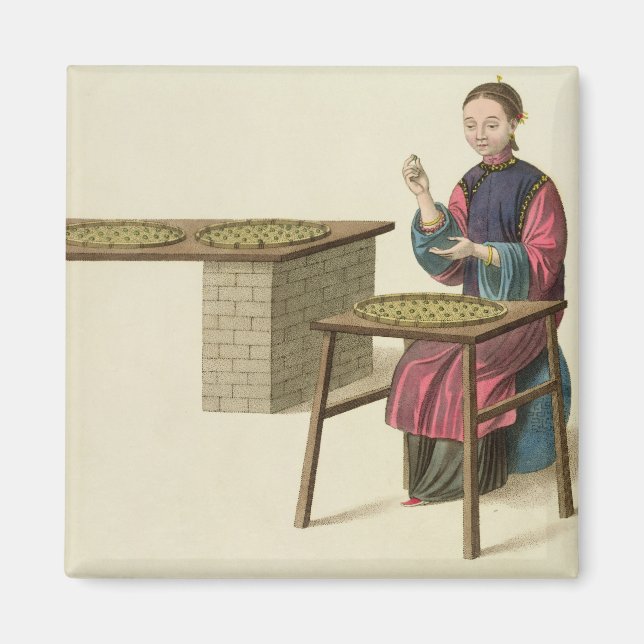 Imã Uma mulher preparando chá, prato 21 de "A fantasia (Frente)