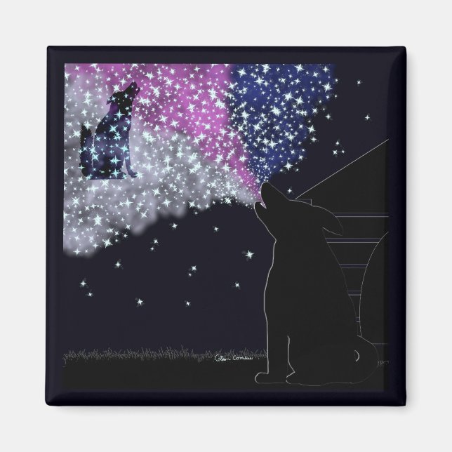 Imã Uma noite de verão com Sirius (Frente)