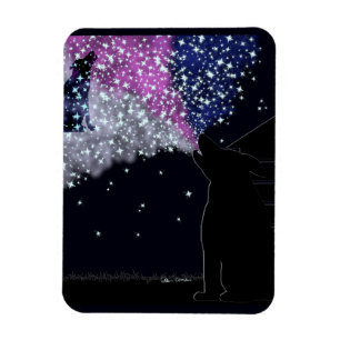 Ímã Uma noite de verão com Sirius