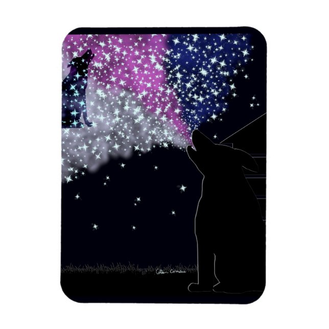 Ímã Uma noite de verão com Sirius (Vertical)