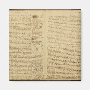 Imã Uma página do códice Leicester, 1508-12