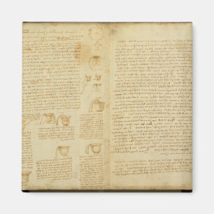 Imã Uma página do códice Leicester, 1508-12