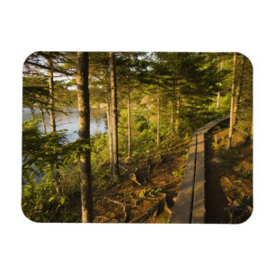 Ímã Uma passarela de madeira no Parque Nacional Acadia