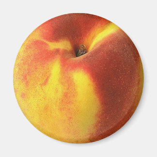 IMÃ UMA PEQUENA MAGNET PARA SUA PORTA FRIDGE