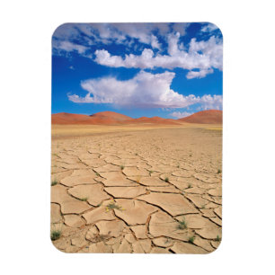 Ímã Uma planície de deserto rachada