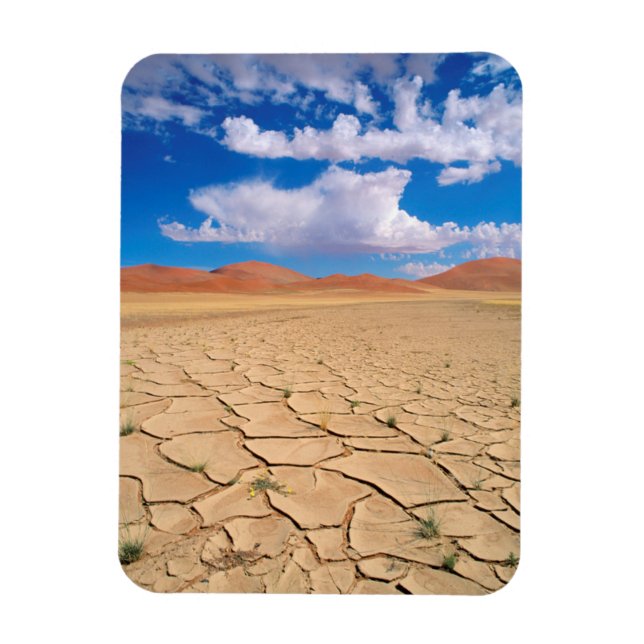 Ímã Uma planície desértica rachada (Vertical)