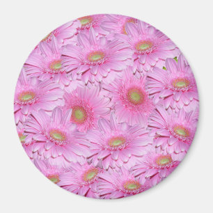 Imã Uma Sinfonia de Gerberas Rosa,