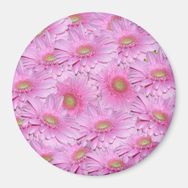 Imã Uma Sinfonia de Gerberas Rosa, (Frente)