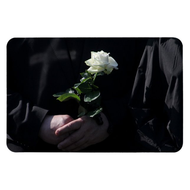 Ímã Uma última rosa branca (Horizontal)