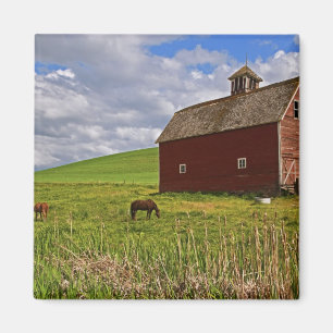 Imã Uma viagem pelo interior rural de Palouse 3
