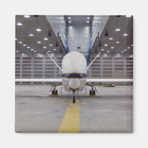 Imã Uma vista dianteira de um falcão global