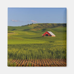 Imã Uma vista panorâmica de um celeiro em Moscow Idaho