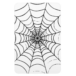 Ímã Uma Web de aranha simples