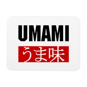 ÍMÃ UMAMI う ま 味