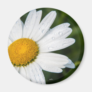 Imã Une margueritte, frente vertida