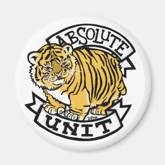 Imã Unidade absoluta no seu frigorífico