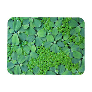 Ímã Unidade de água