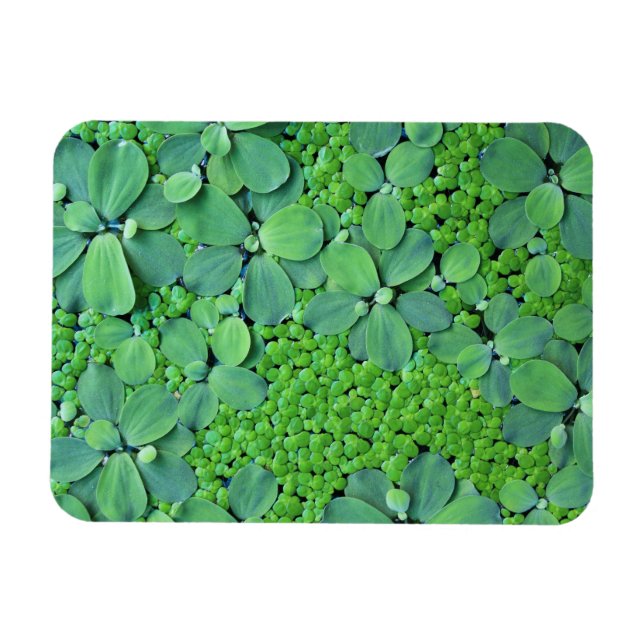 Ímã Unidade de água (Horizontal)