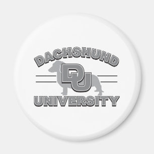 Imã Universidade Dachshund