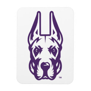 Ímã Universidade de Albany Great Dane Mascot Head