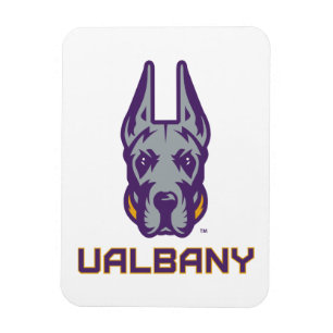 Ímã Universidade de Albany Great Danes