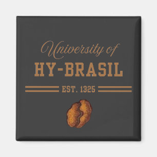 Imã Universidade de Hy-Brasil, Est. 1325