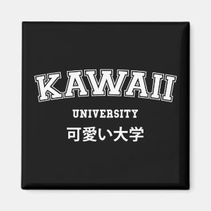 IMÃ UNIVERSIDADE KAWAII
