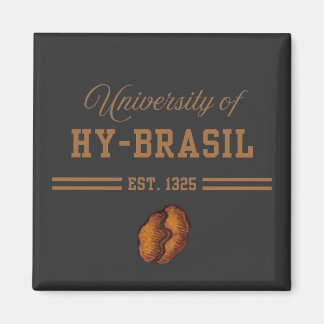 Imã University of Hy-Brasil, Est. 1325