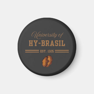 Imã University of Hy-Brasil, Est. 1325