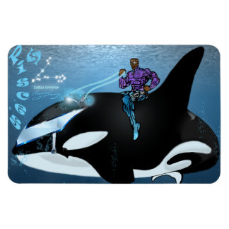 Ímã Universo Zodiac - Magnet Peixes