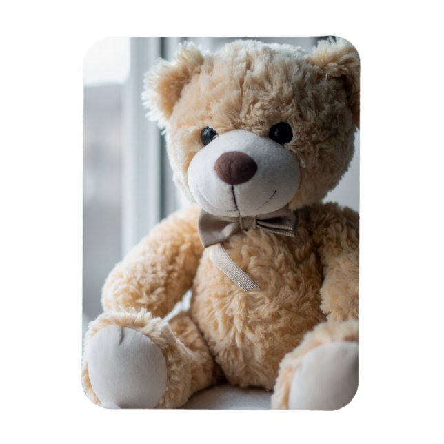Ímã Ursa de pelúcia aconchegante (Vertical)