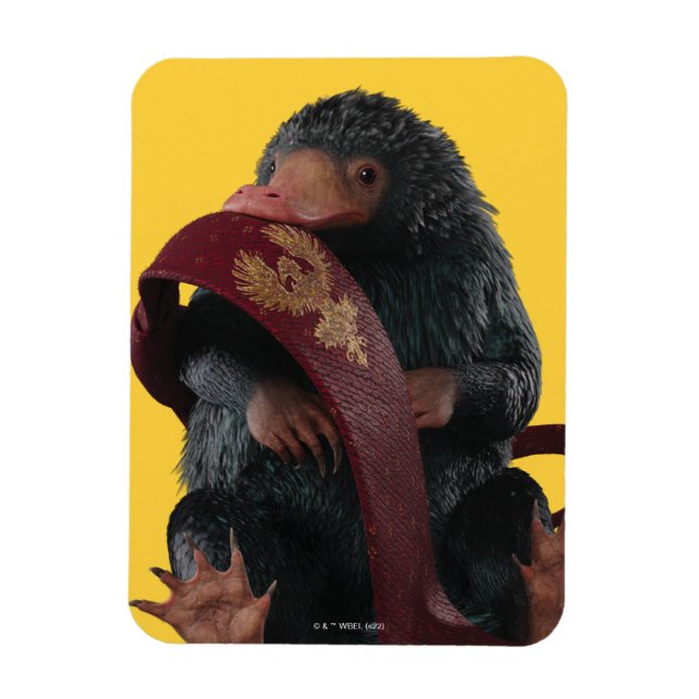 Ímã Ursinho Com Gráfico De Gravação (Vertical)