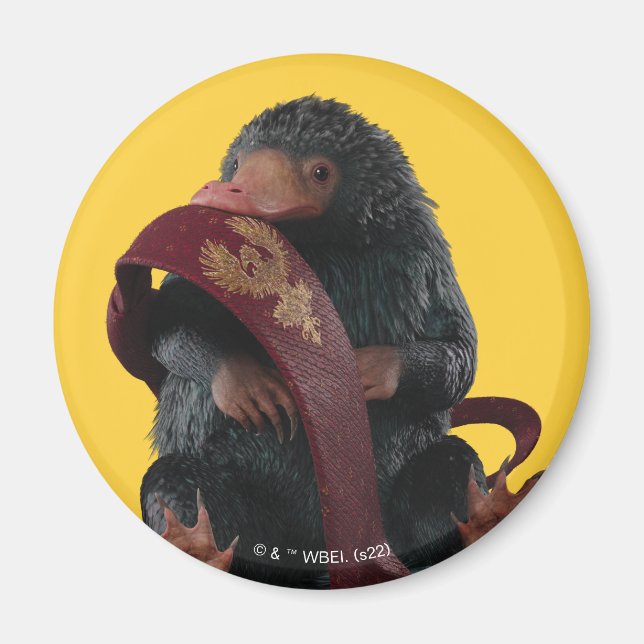 Imã Ursinho Com Gráfico De Gravação (Frente)