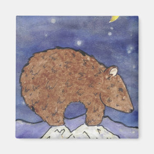 Imã Urso da Meia-Noite