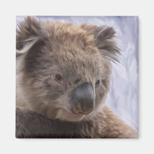 Imã Urso de Koala